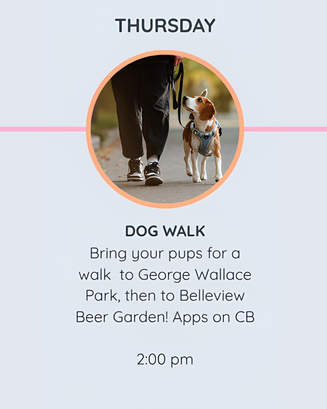 Dog owners who regularly walk their pets are more than 2.5 times more likely to get enough weekly exercise compared to those who do not walk a dog.